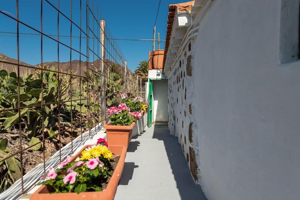 Vivienda Vacacional Ca' Pepita Y Jose El Albercon Exterior photo