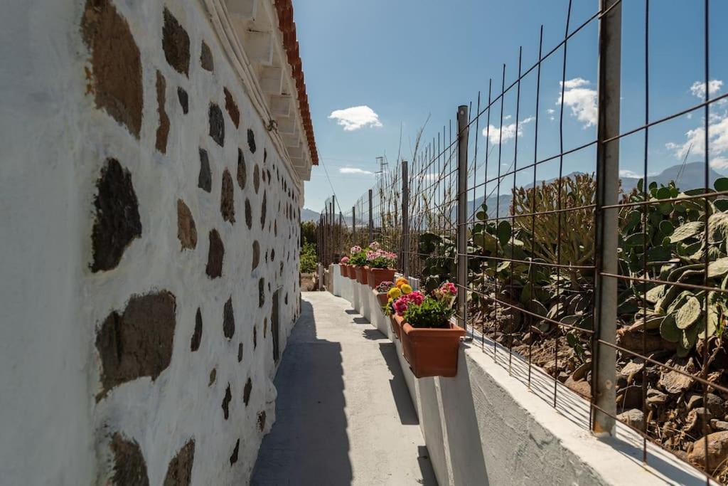 Vivienda Vacacional Ca' Pepita Y Jose El Albercon Exterior photo
